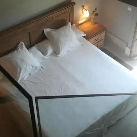 Hotel Palacio De